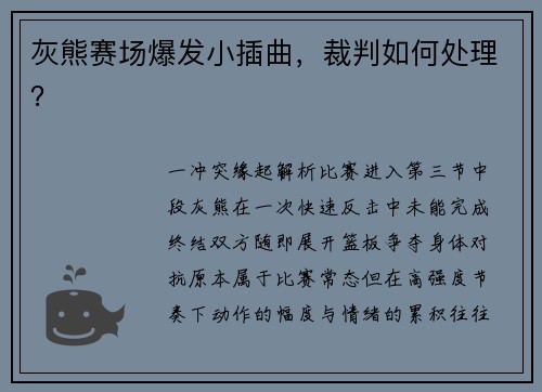 灰熊赛场爆发小插曲，裁判如何处理？